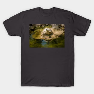 Turtle Enjoying the Sunshine T-Shirt